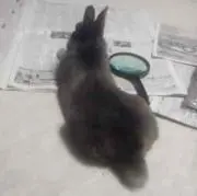 ひろきたかと