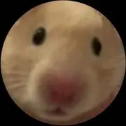 もこもこちゃん