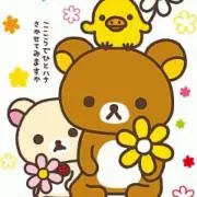 marigoldの画像