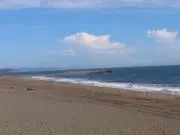 Gongonの画像
