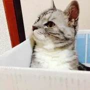 Ga  Hyuu