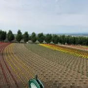 HAZU プロフィール読んで頂けるとの画像