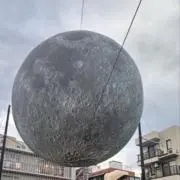 coconuts23の画像