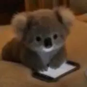 草苗の画像
