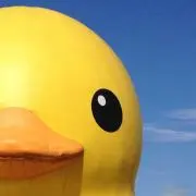 ひこっぺの画像