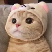 ななえ