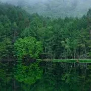 UPEKOの画像