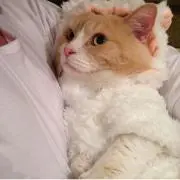 a❤︎の画像