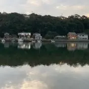 安井