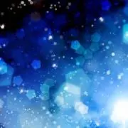 -TORA-の画像