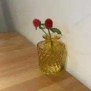 ゆきの画像