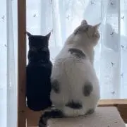 そらとうみの画像