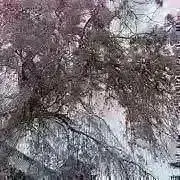 ♡の画像