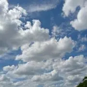 ミキティーの画像