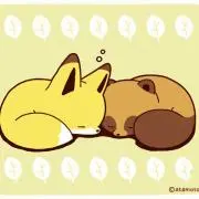 まめの画像