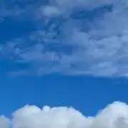 静の画像