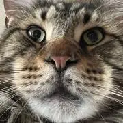 なっくんの画像