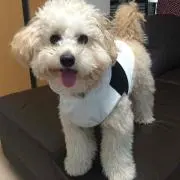 みっきー