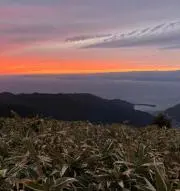 ひぜんの画像