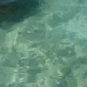 suuの画像