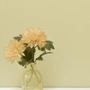 Ri.送料を大幅に超える値下げ✖の画像