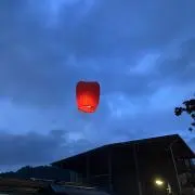 りの画像
