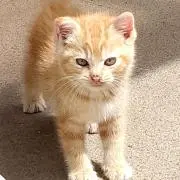 まりん