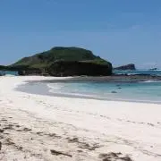 Yの画像