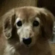 みはゆの画像