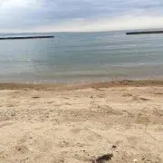 トムトムの画像