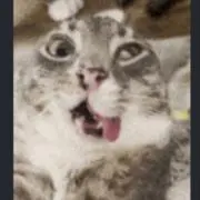 にぴ