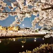 お客様感謝セール中♡ブランドショップ桜♡