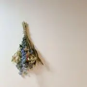 knm ☻︎の画像