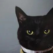 kurosukeの画像