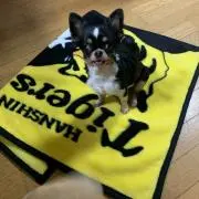 maro