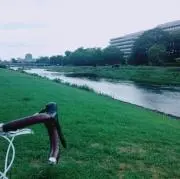 六