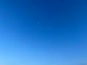 ラモトットの画像