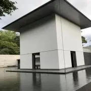 たまの画像