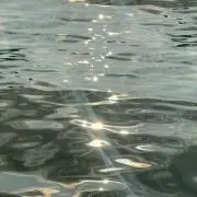 Kの画像