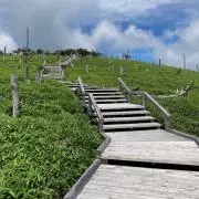 takeの画像