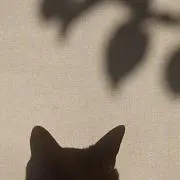 しろひげの画像