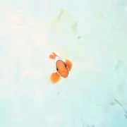 ひろぽん♪