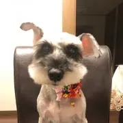 キャス子の画像