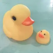 hikaの画像