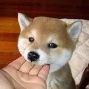 りょう