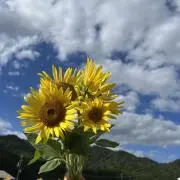 mの画像