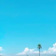 ねんねこの画像