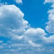 茶々丸の画像