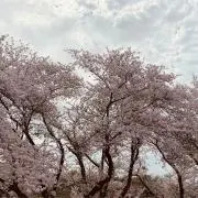 りおんの画像