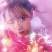 ぽむぽむの画像